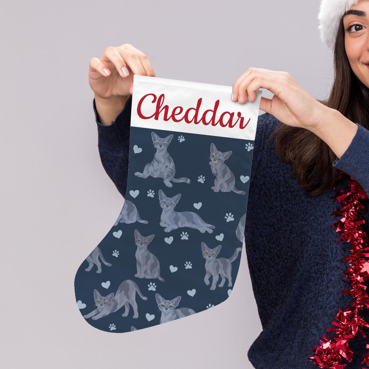 Devon Rex Blue Christmas stocking on deep navy background with example name Cheddar in red script on the white cuff; view 5.