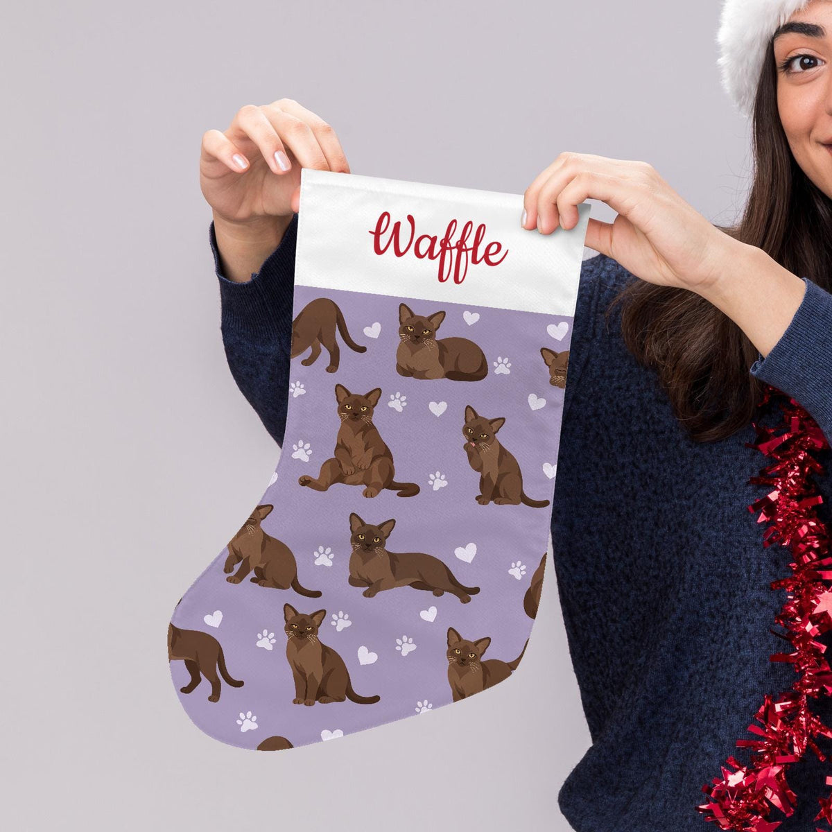 European Burmese Warm brown Christmas stocking on soft lavender background with example name Waffle in red script on the white cuff; view 5.