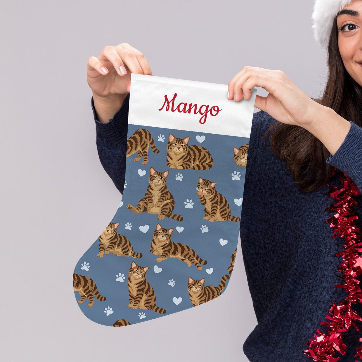American Wirehair Brown tabby Christmas stocking on slate blue background with example name Mango in red script on the white cuff; view 5.