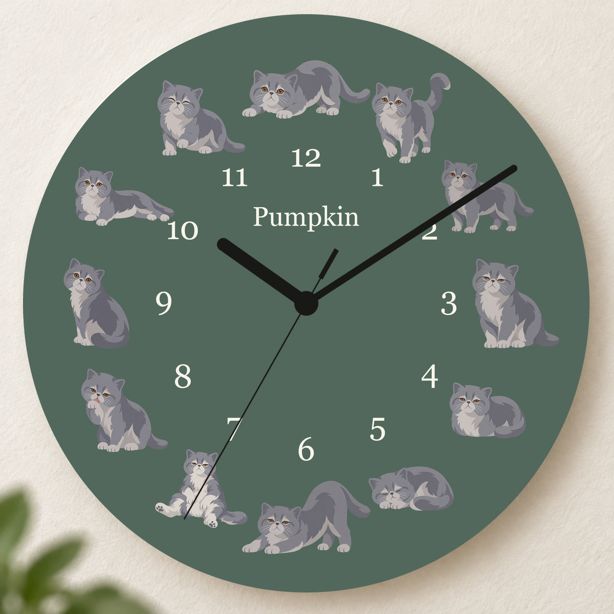 Personalized Exotic Shorthair Cat Wall Clock, Custom Pet Name, 11.6 Inch Wooden Clock — Deep Sage background
