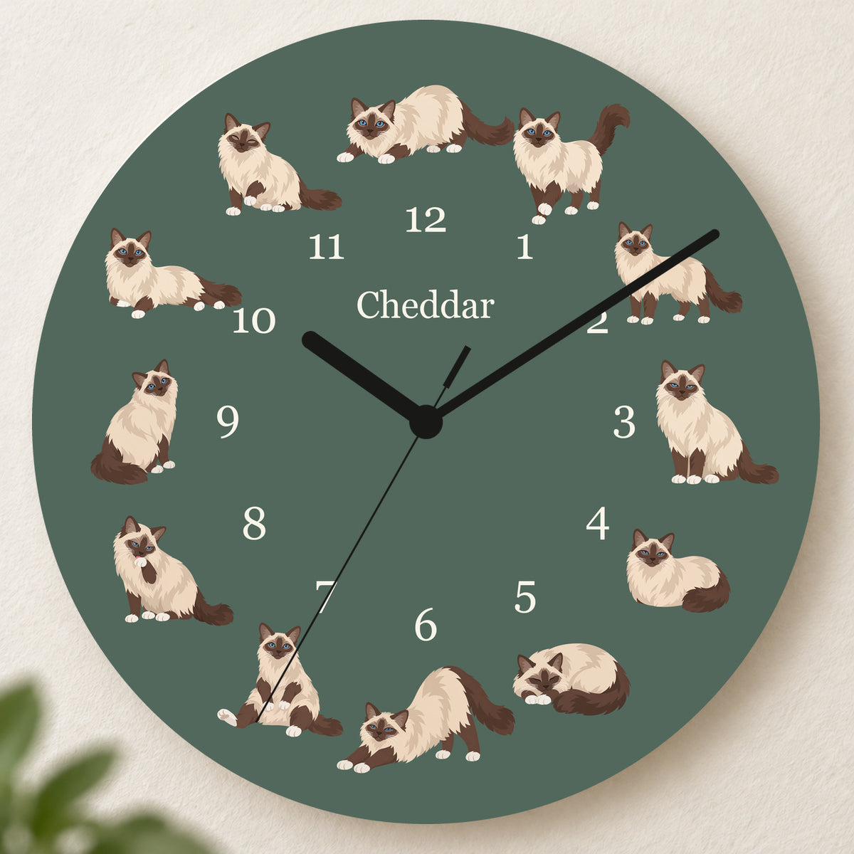 Personalized Birman Cat Wall Clock, Custom Pet Name, 11.6 Inch Wooden Clock — Deep Sage background