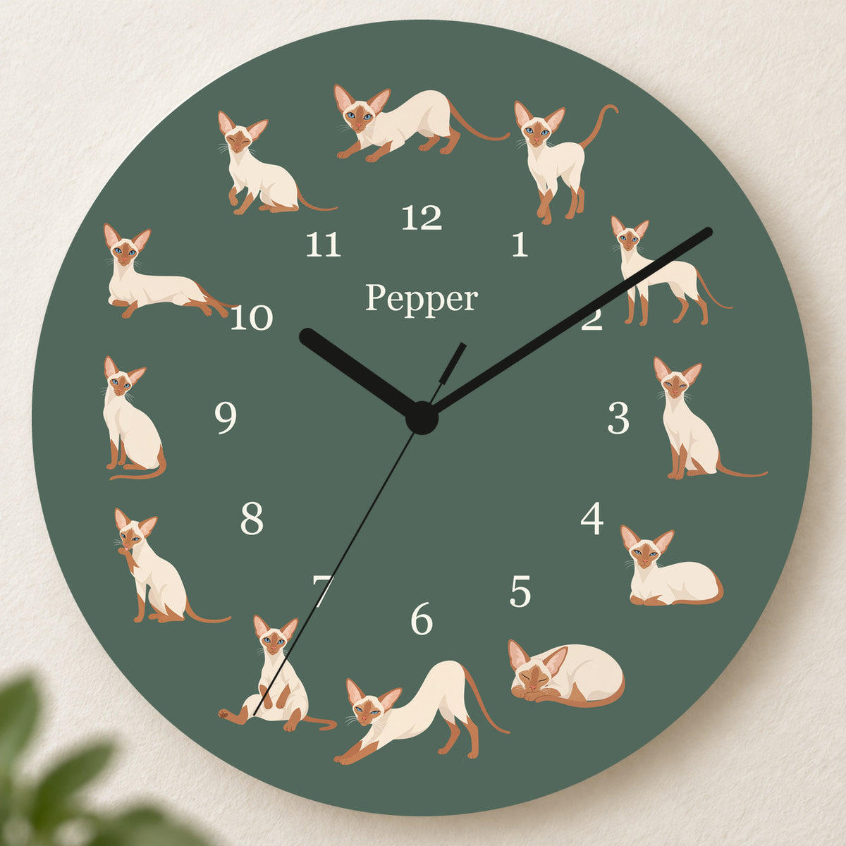 Personalized Colorpoint Shorthair Cat Wall Clock, Custom Pet Name, 11.6 Inch Wooden Clock — Deep Sage background