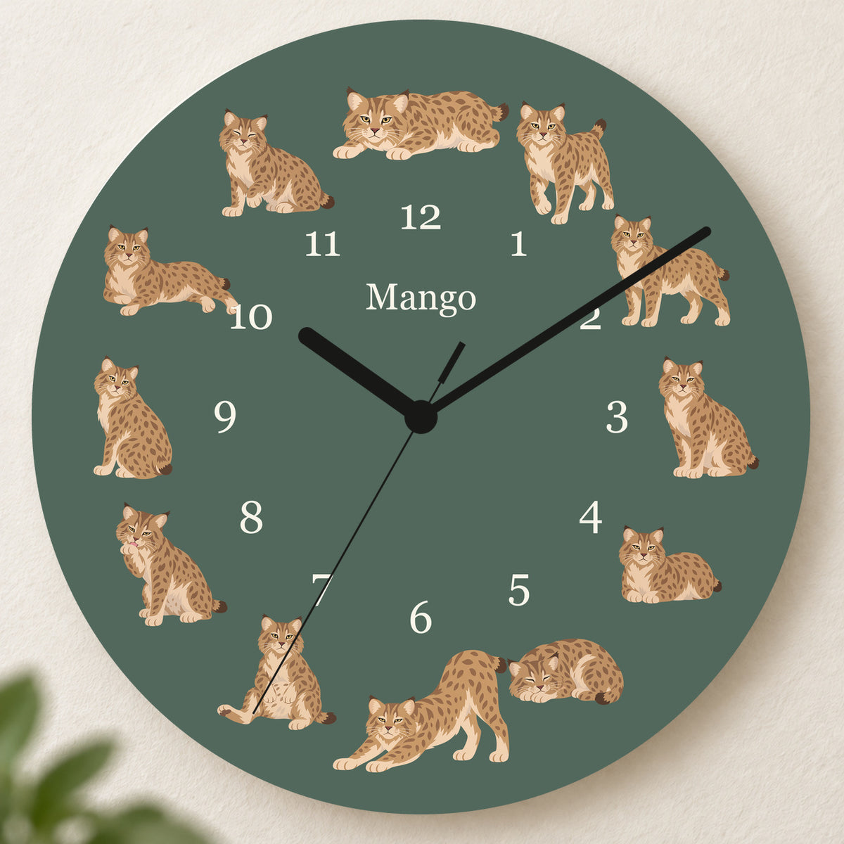 Personalized Pixie bob Cat Wall Clock, Custom Pet Name, 11.6 Inch Wooden Clock — Deep Sage background