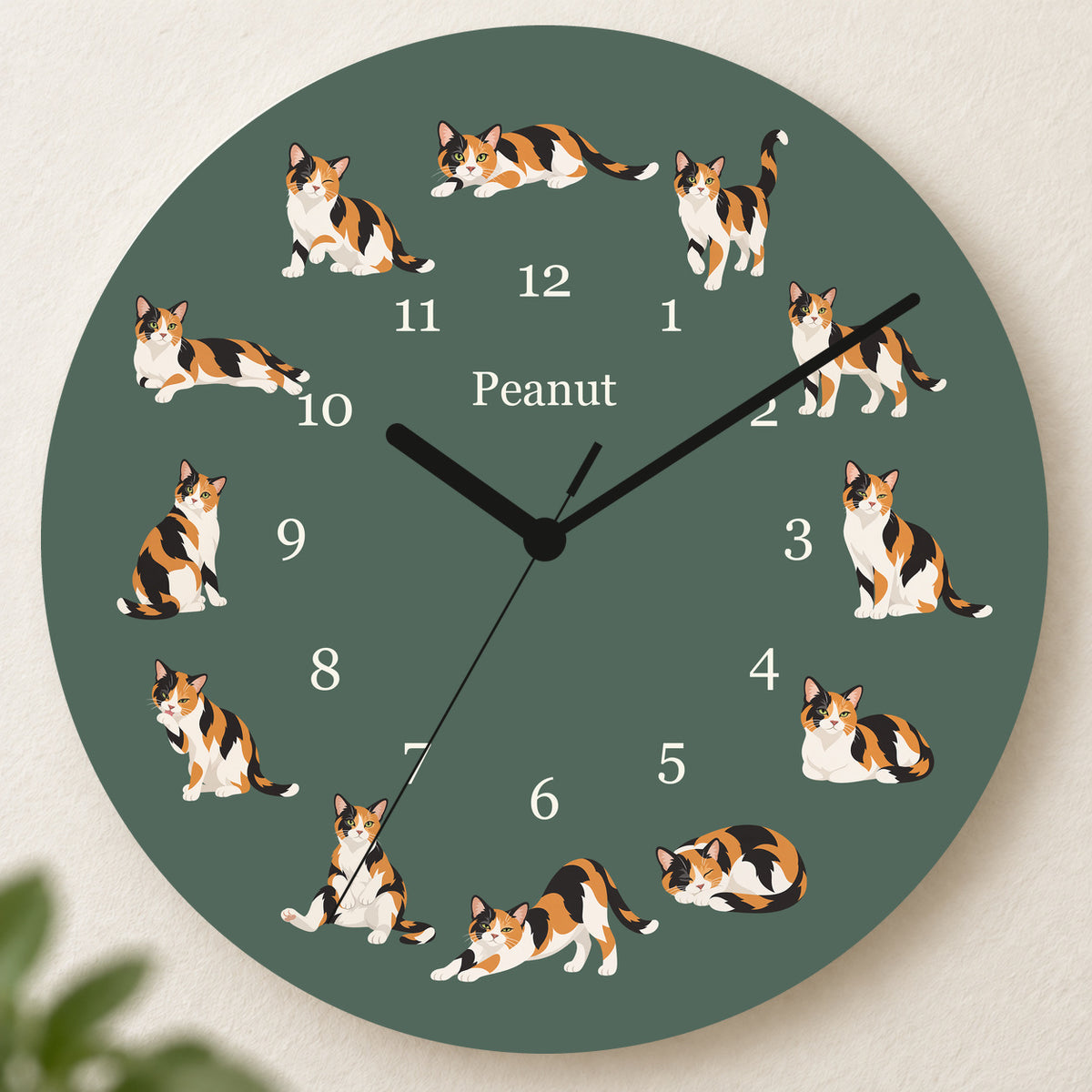 Personalized Domestic Shorthair Cat Wall Clock, Custom Pet Name, 11.6 Inch Wooden Clock — Deep Sage background