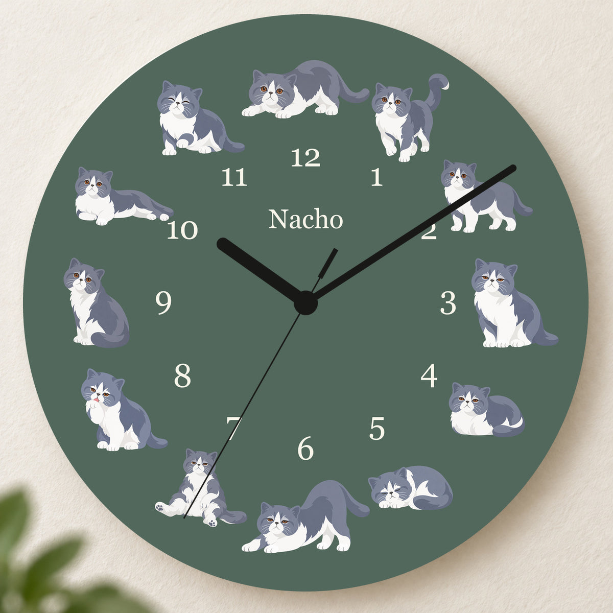 Personalized Exotic Shorthair Cat Wall Clock, Custom Pet Name, 11.6 Inch Wooden Clock — Deep Sage background