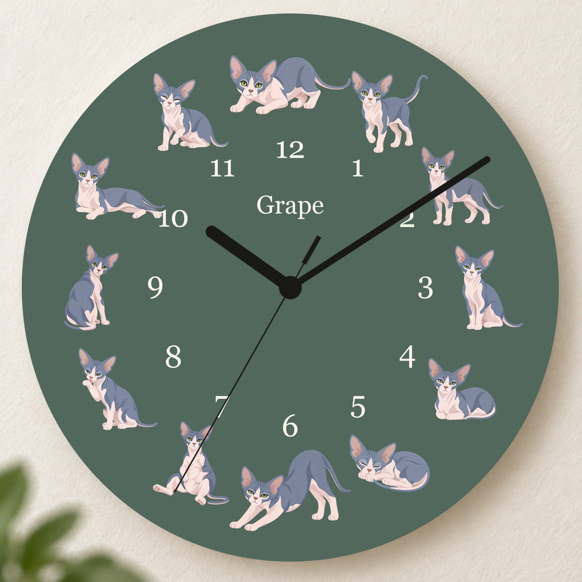 Personalized Sphynx Cat Wall Clock, Custom Pet Name, 11.6 Inch Wooden Clock — Deep Sage background
