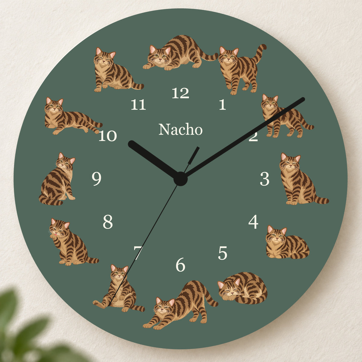 Personalized American Wirehair Cat Wall Clock, Custom Pet Name, 11.6 Inch Wooden Clock — Deep Sage background
