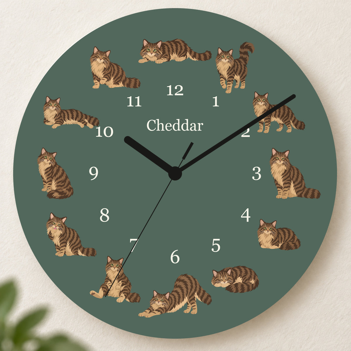 Personalized Domestic Longhair Cat Wall Clock, Custom Pet Name, 11.6 Inch Wooden Clock — Deep Sage background