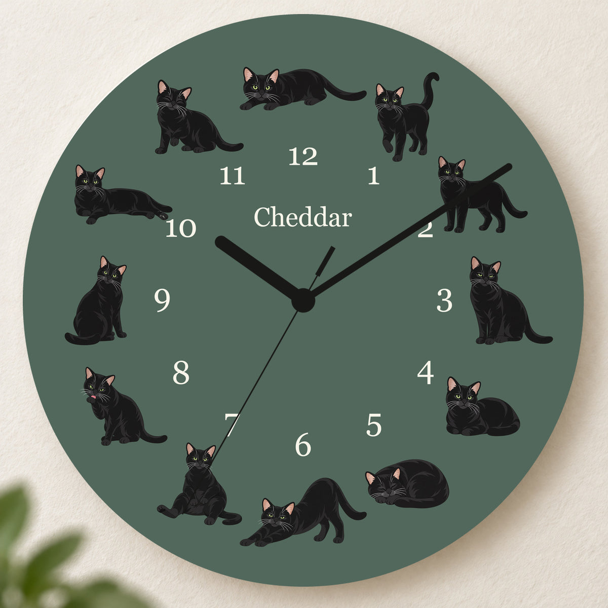 Personalized Domestic Shorthair Cat Wall Clock, Custom Pet Name, 11.6 Inch Wooden Clock — Deep Sage background