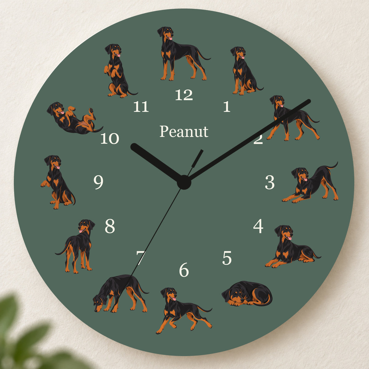 Personalized Doberman Pinscher Wall Clock, Custom Pet Name, 11.6 Inch Wooden Clock — Deep Sage background