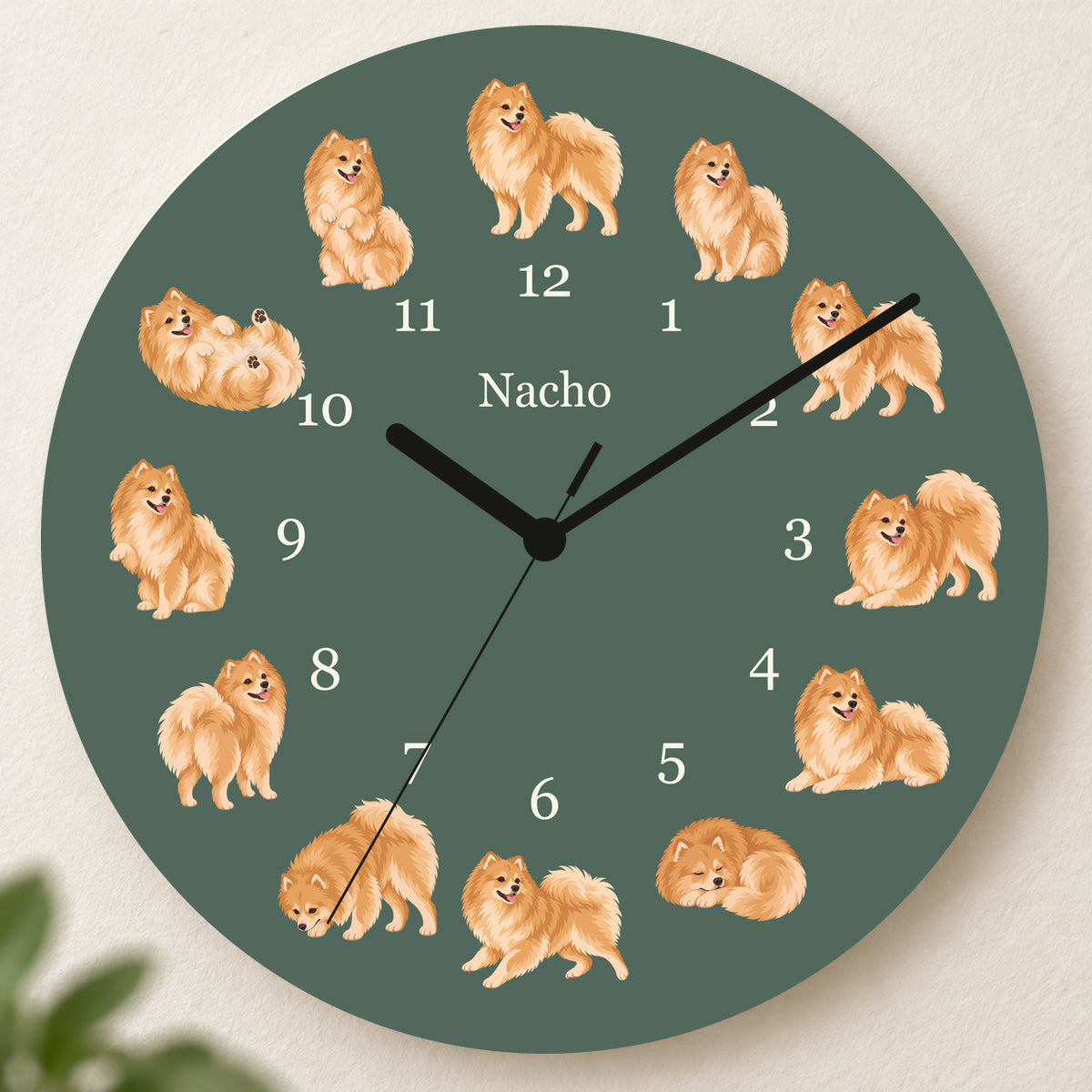 Personalized Pomeranian Wall Clock, Custom Pet Name, 11.6 Inch Wooden Clock — Deep Sage background