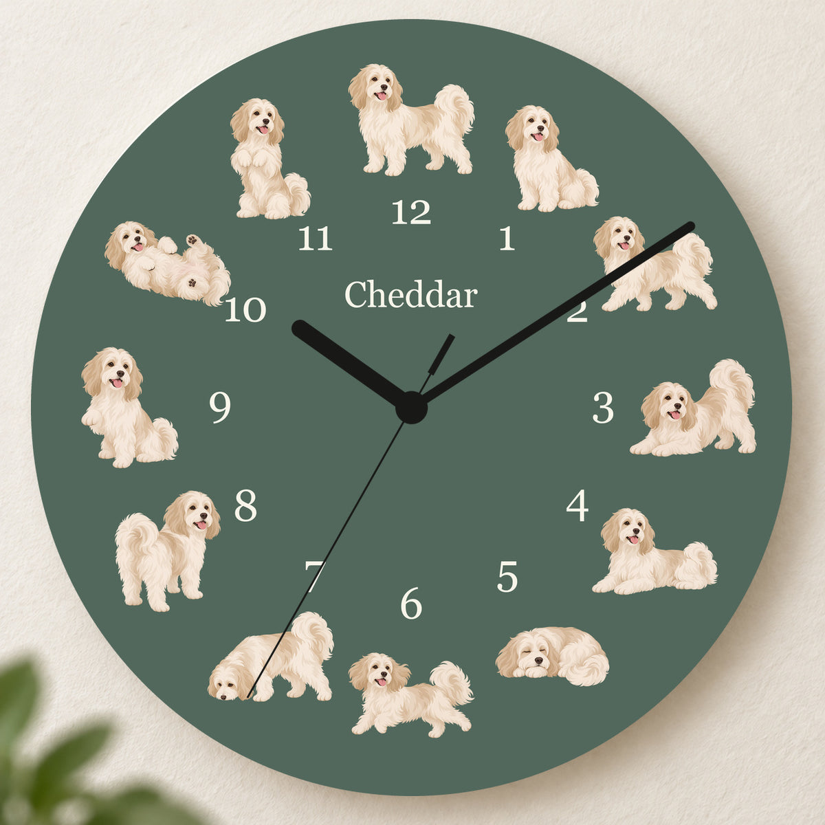 Personalized Havanese Wall Clock, Custom Pet Name, 11.6 Inch Wooden Clock — Deep Sage background