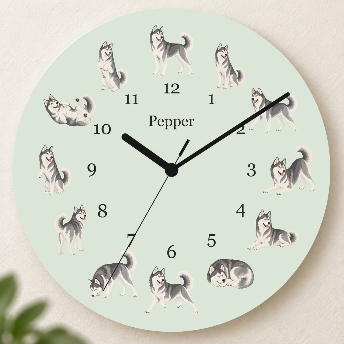 Personalized Siberian Husky Wall Clock, Custom Pet Name, 11.6 Inch Wooden Clock — Pale Sage background