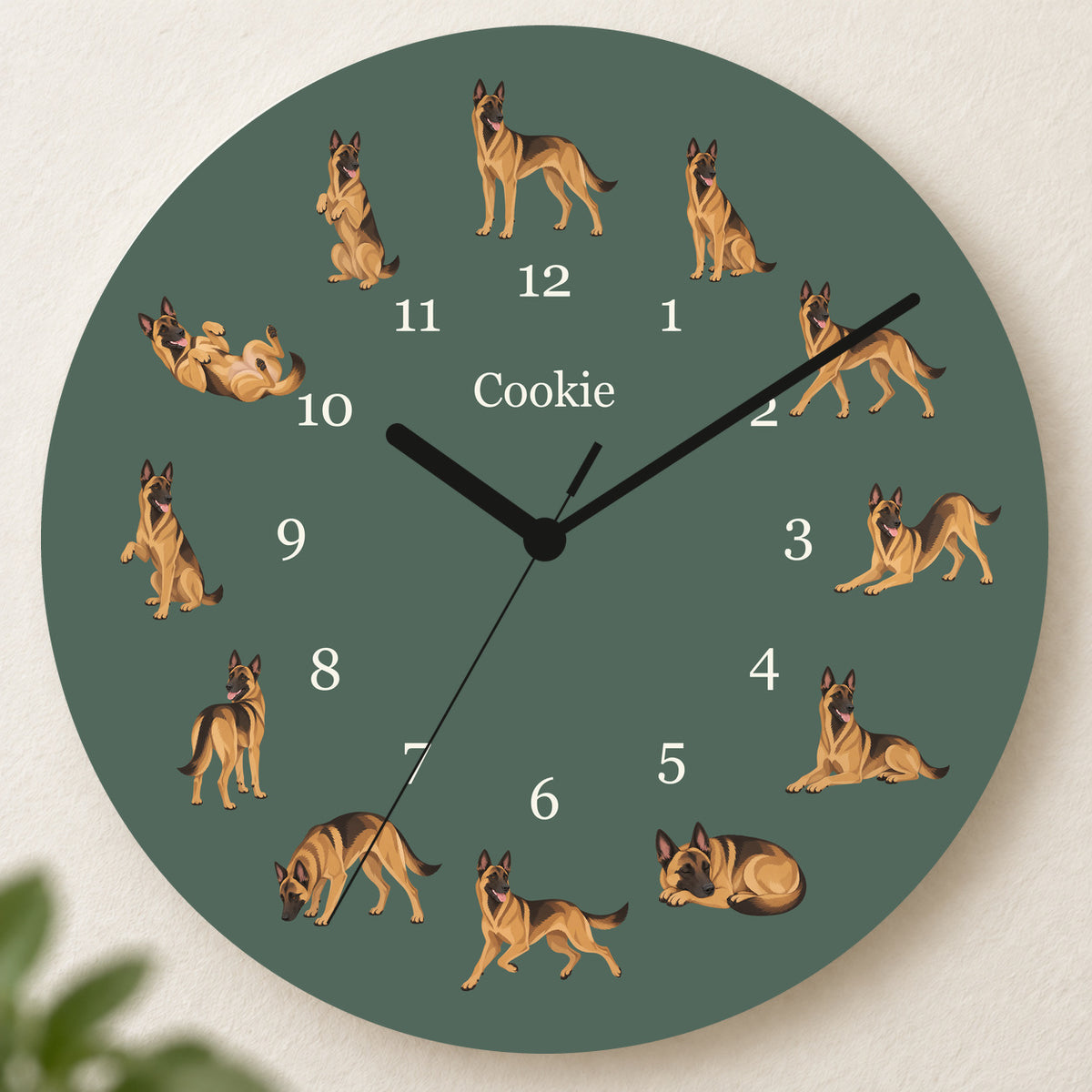 Personalized Belgian Malinois Wall Clock, Custom Pet Name, 11.6 Inch Wooden Clock — Deep Sage background