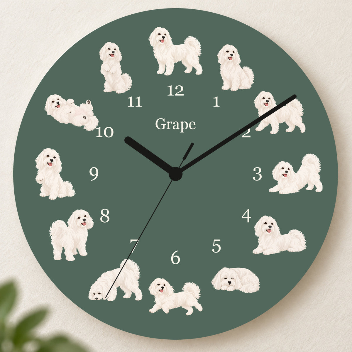 Personalized Maltese Wall Clock, Custom Pet Name, 11.6 Inch Wooden Clock — Deep Sage background