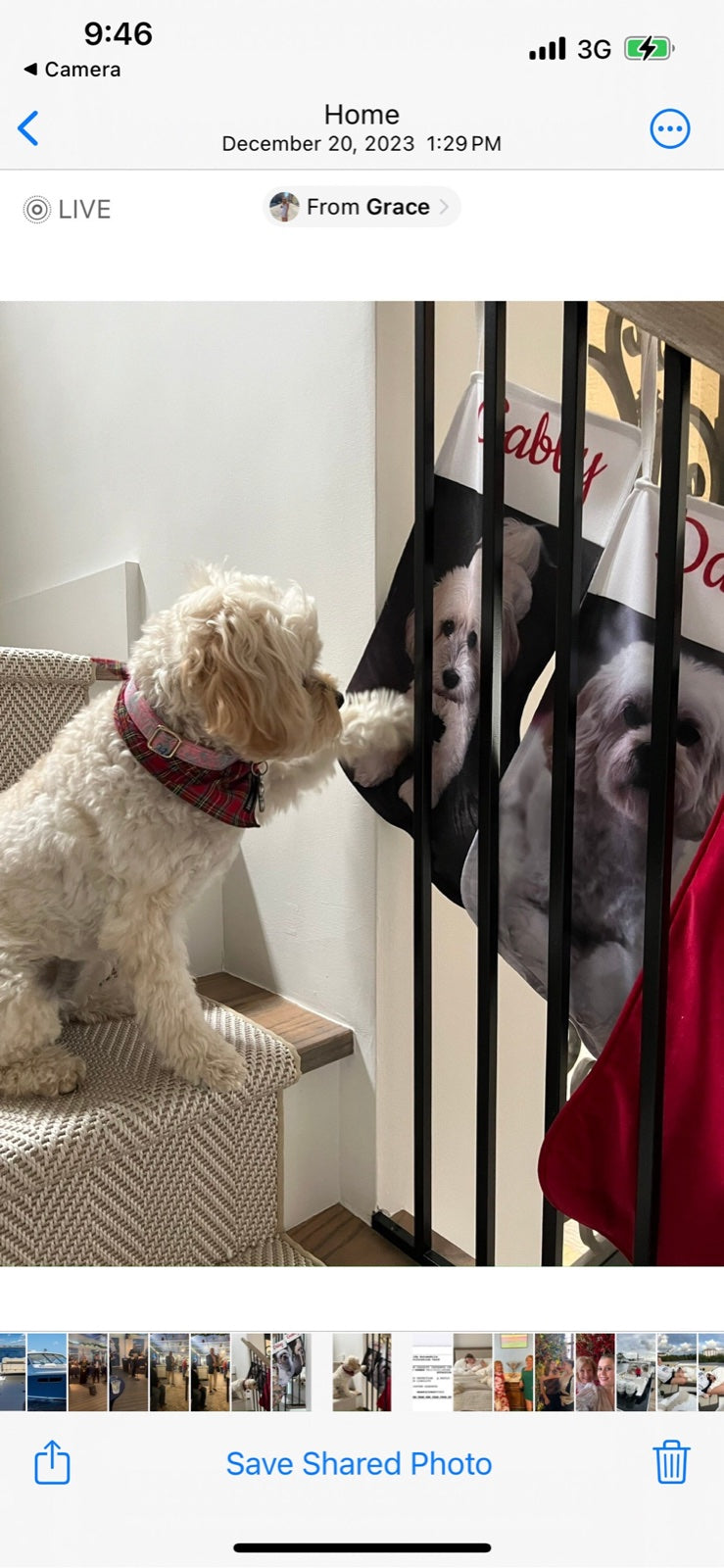 Caroline V.'s personalized pet Christmas stocking