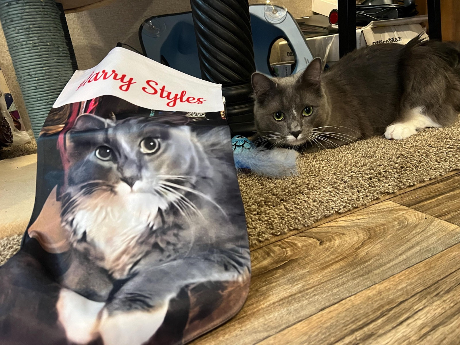 Jessica M.'s personalized pet Christmas stocking