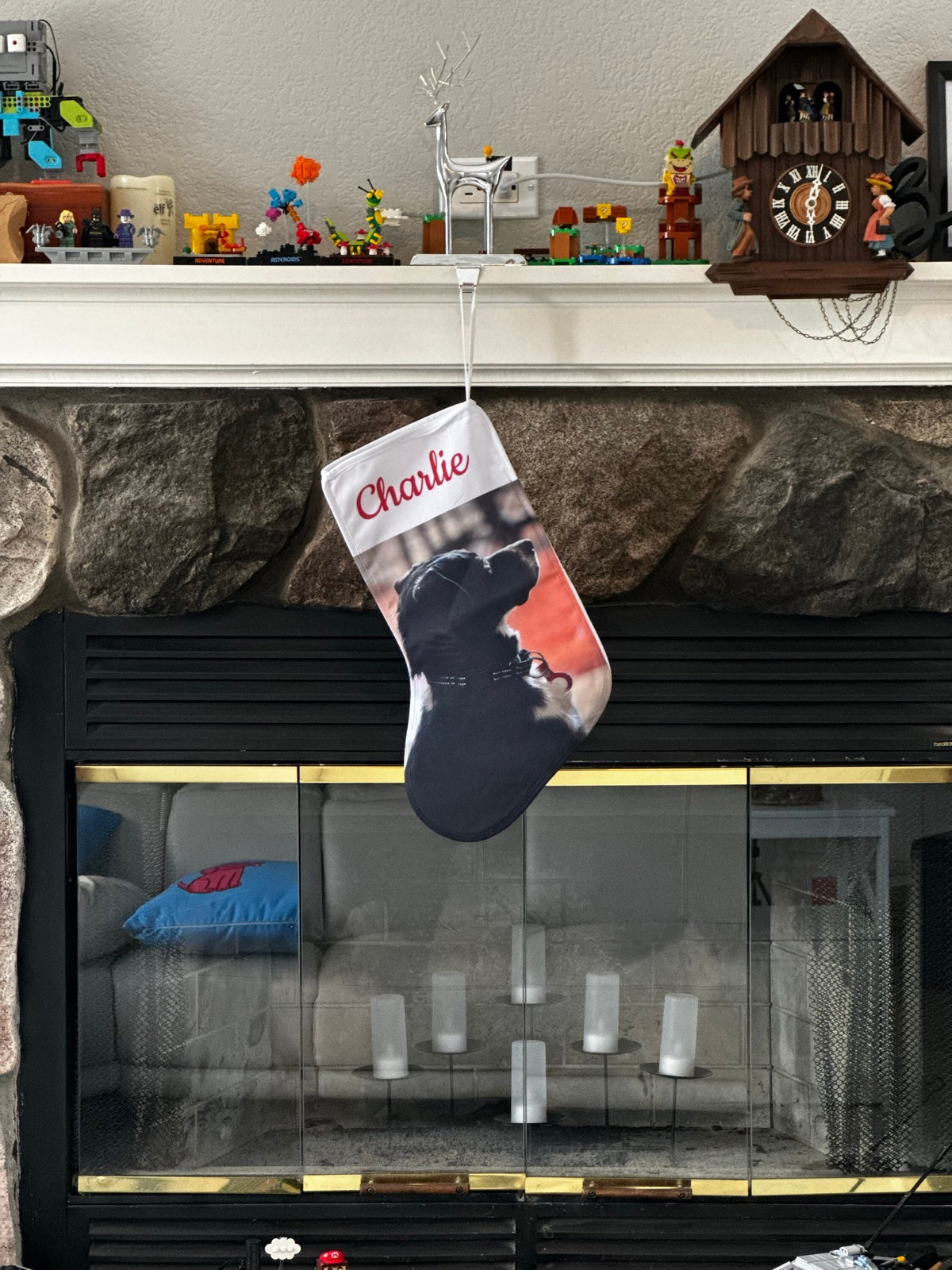Lara E.'s personalized pet Christmas stocking