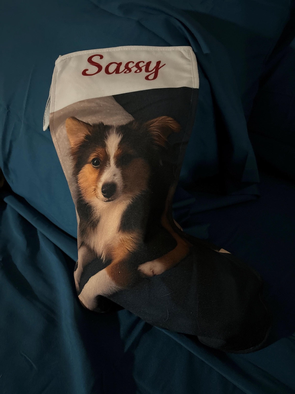 Norma C.'s personalized pet Christmas stocking