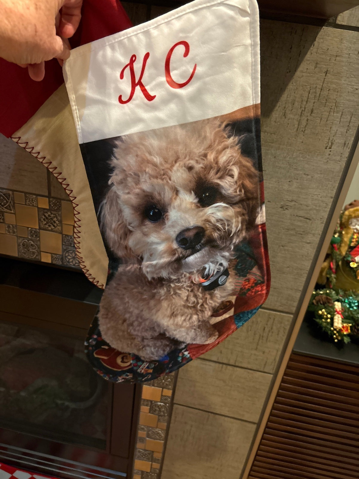 Patricia B.'s personalized pet Christmas stocking