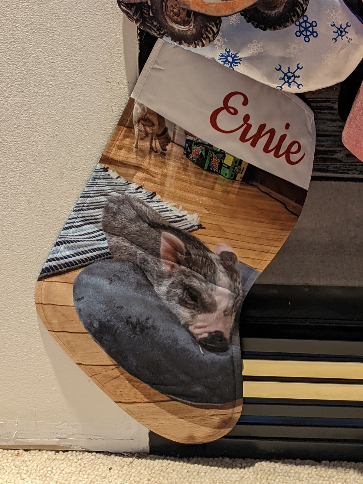 Richard L.'s personalized pet Christmas stocking