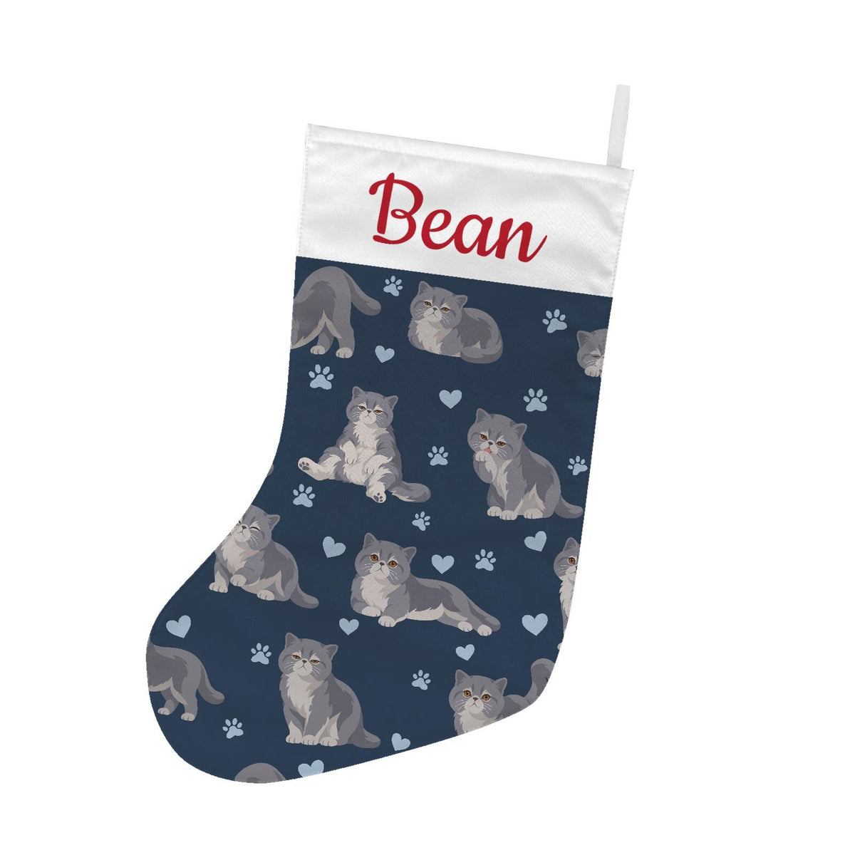 Exotic Shorthair Christmas stocking on deep navy background with example name Bean in red script on the white cuff; view 2.