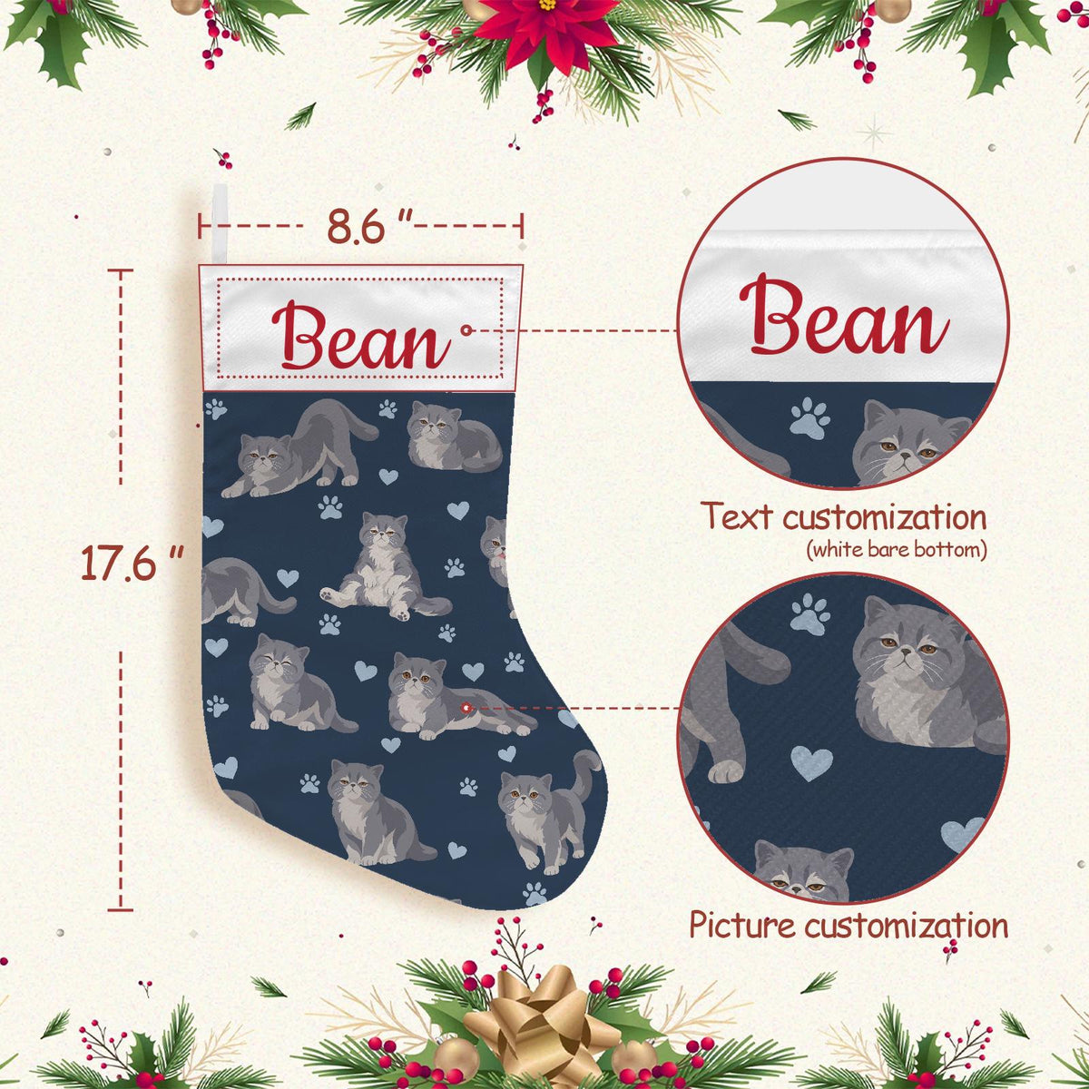 Exotic Shorthair Christmas stocking on deep navy background with example name Bean in red script on the white cuff; view 4.