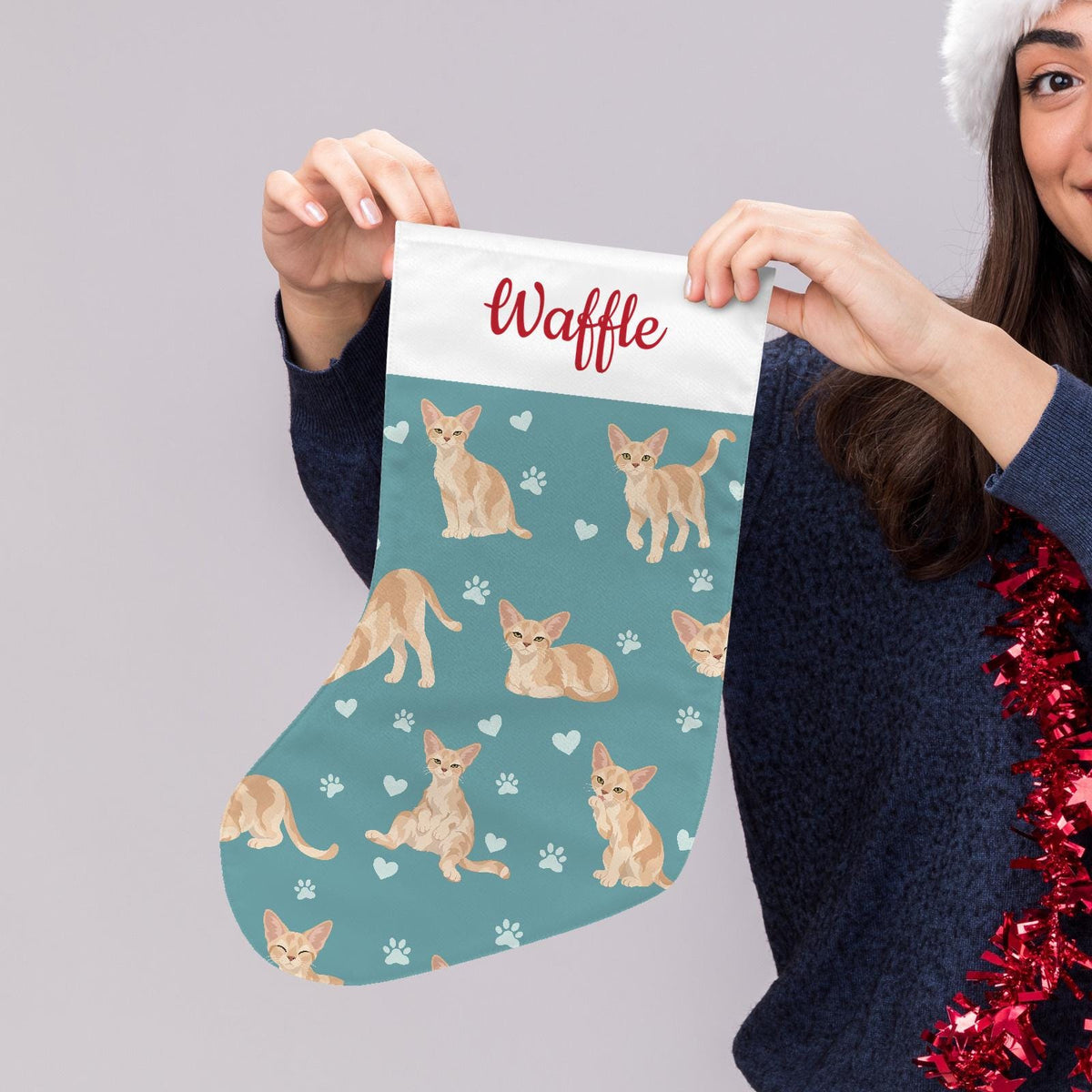 Devon Rex Christmas stocking on muted teal background with example name Waffle in red script on the white cuff; view 5.