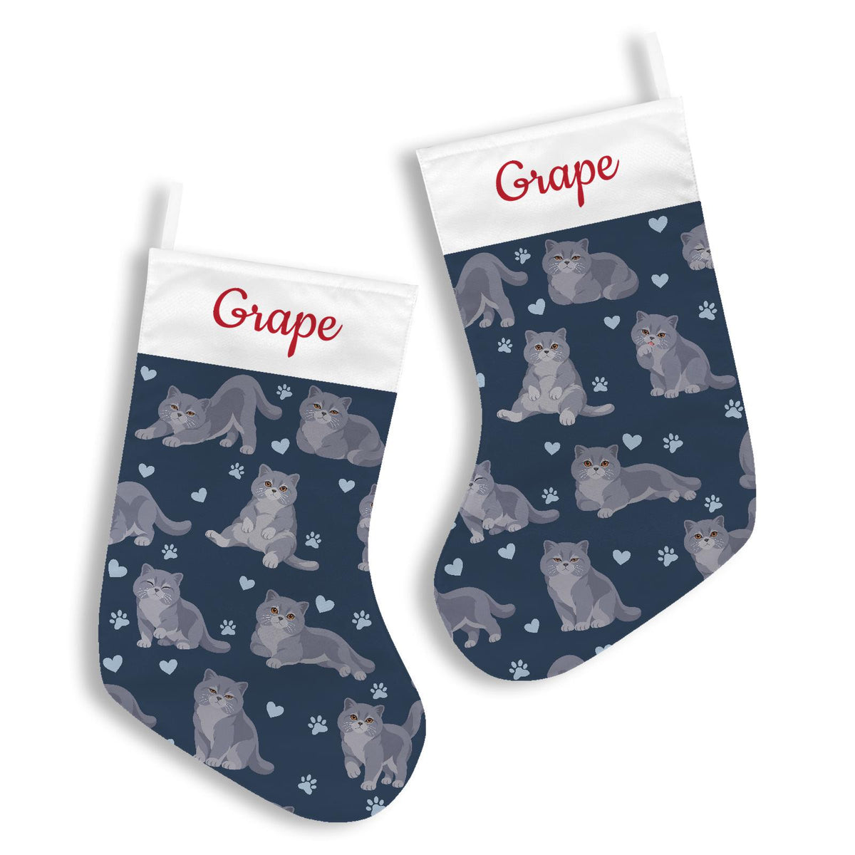 British Shorthair Christmas stocking on deep navy background with example name Grape in red script on the white cuff; view 3.