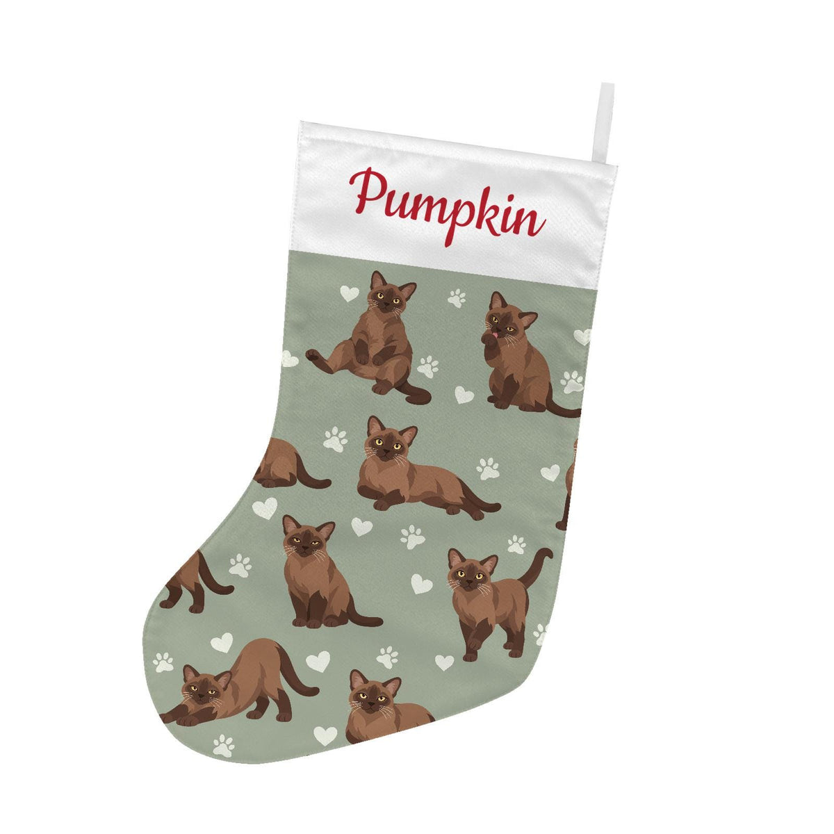 Burmese Christmas stocking on soft sage background with example name Pumpkin in red script on the white cuff; view 2.