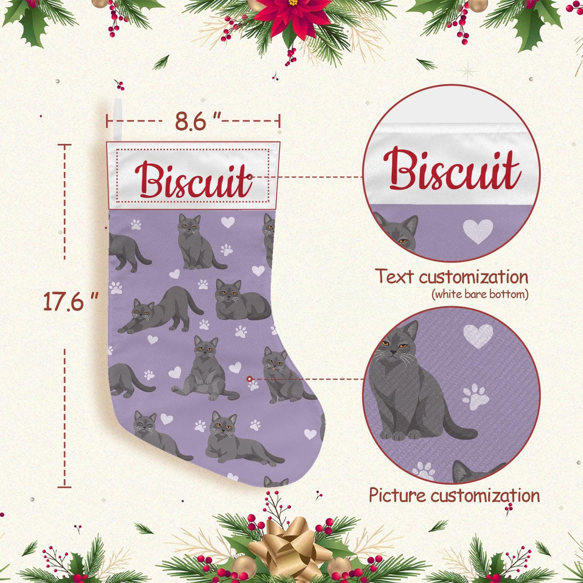 Chartreux Christmas stocking on soft lavender background with example name Biscuit in red script on the white cuff; view 4.