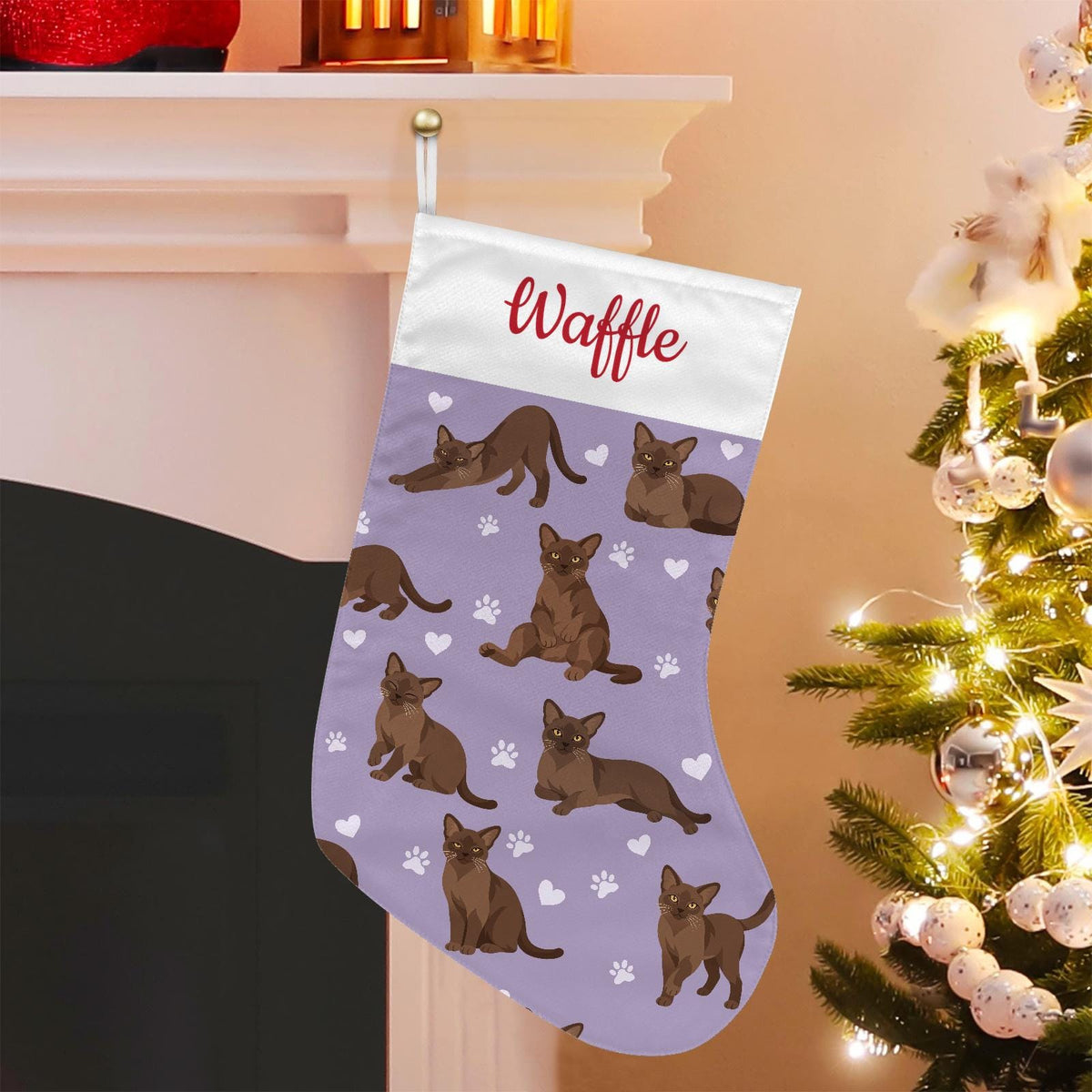 European Burmese Warm brown Christmas stocking on soft lavender background with example name Waffle in red script on the white cuff; view 1.
