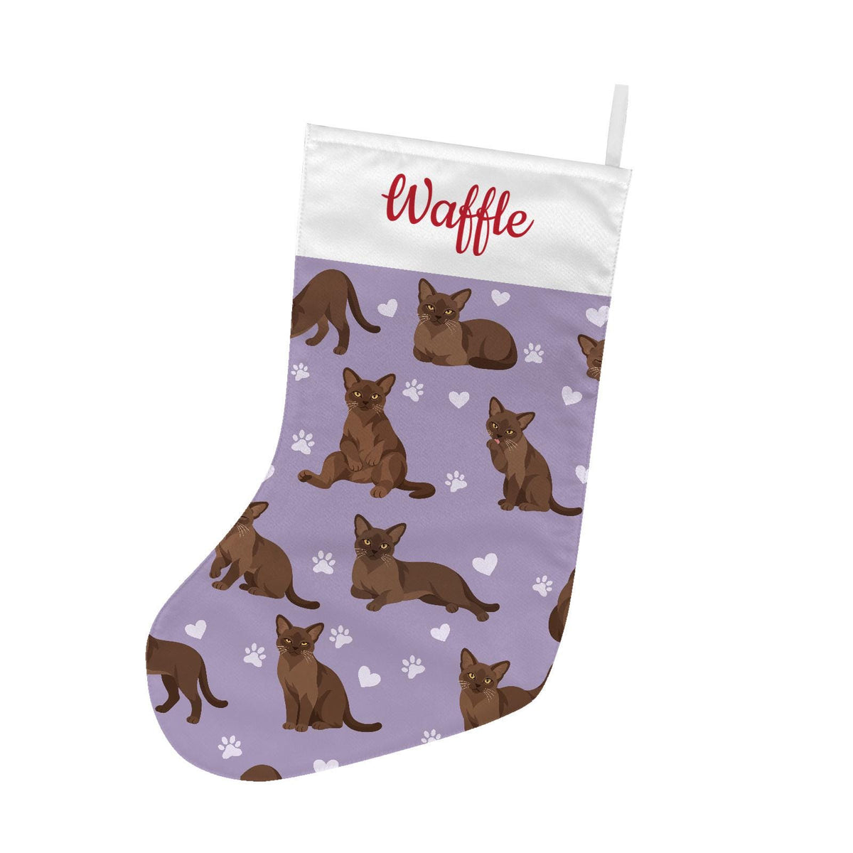 European Burmese Warm brown Christmas stocking on soft lavender background with example name Waffle in red script on the white cuff; view 2.