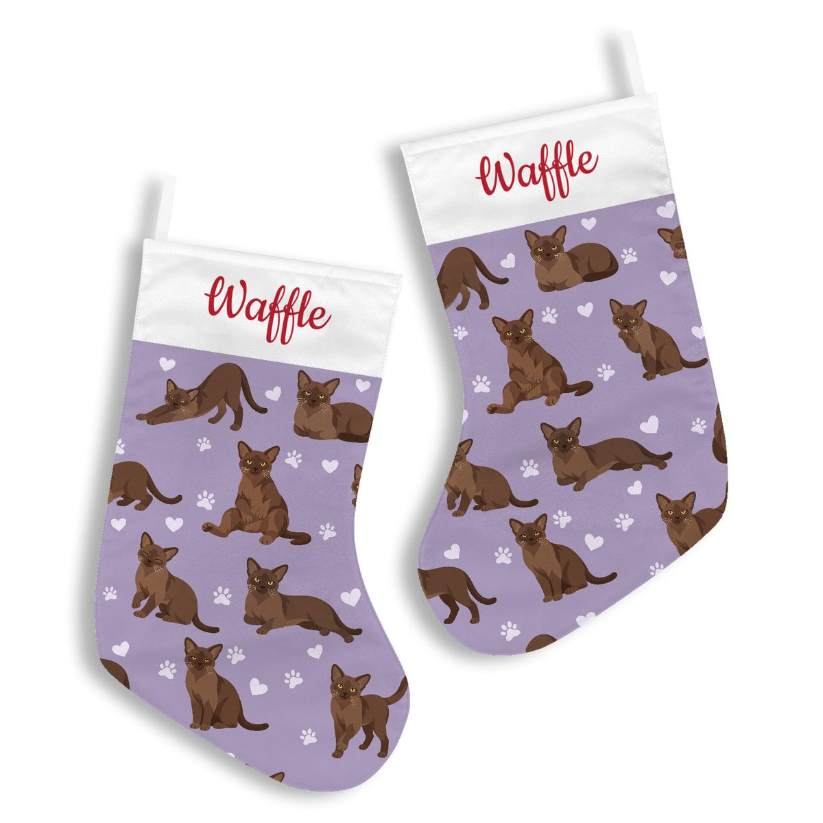 European Burmese Warm brown Christmas stocking on soft lavender background with example name Waffle in red script on the white cuff; view 3.