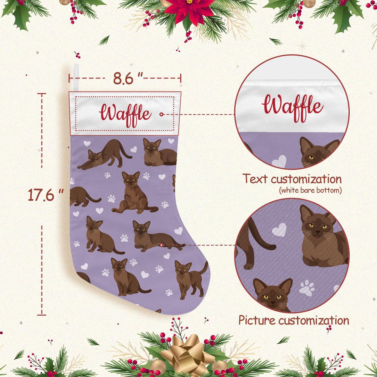 European Burmese Warm brown Christmas stocking on soft lavender background with example name Waffle in red script on the white cuff; view 4.