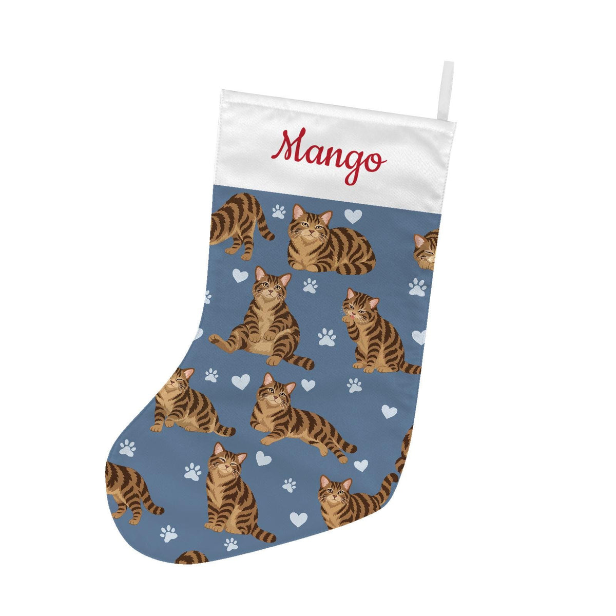 American Wirehair Brown tabby Christmas stocking on slate blue background with example name Mango in red script on the white cuff; view 2.