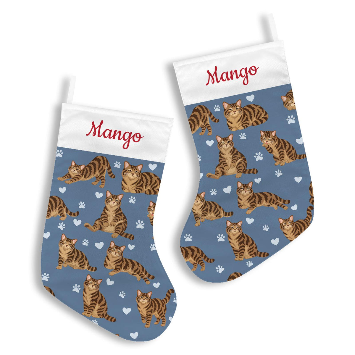 American Wirehair Brown tabby Christmas stocking on slate blue background with example name Mango in red script on the white cuff; view 3.
