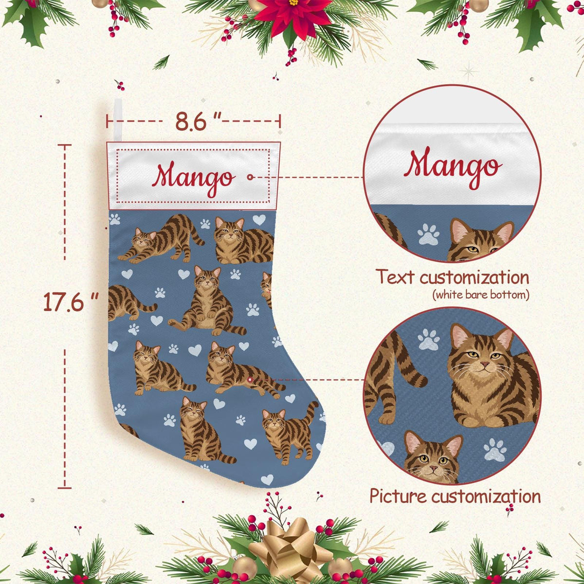 American Wirehair Brown tabby Christmas stocking on slate blue background with example name Mango in red script on the white cuff; view 4.