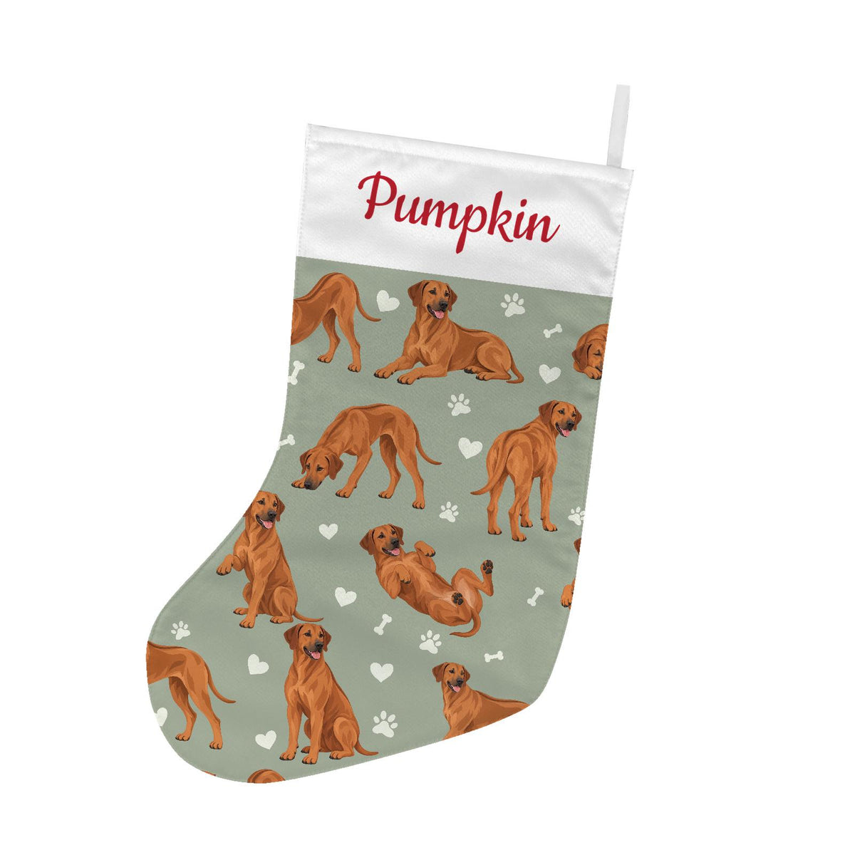 Rhodesian Ridgeback Christmas stocking on soft sage background with example name Pumpkin in red script on the white cuff; view 2.