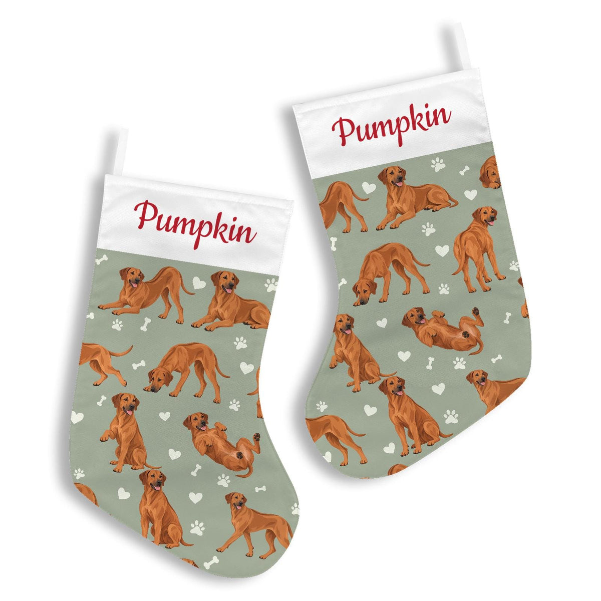 Rhodesian Ridgeback Christmas stocking on soft sage background with example name Pumpkin in red script on the white cuff; view 3.