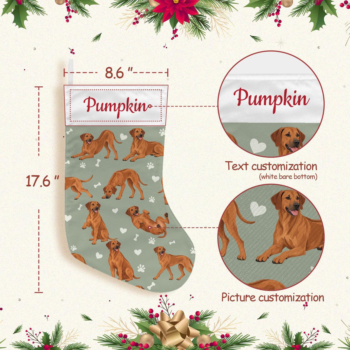 Rhodesian Ridgeback Christmas stocking on soft sage background with example name Pumpkin in red script on the white cuff; view 4.