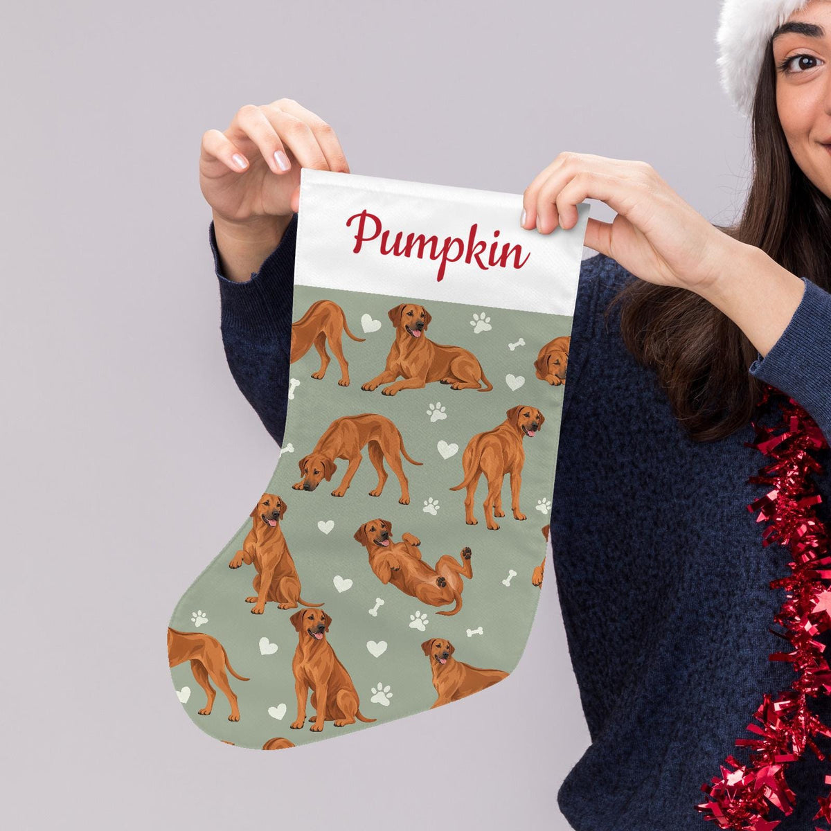 Rhodesian Ridgeback Christmas stocking on soft sage background with example name Pumpkin in red script on the white cuff; view 5.