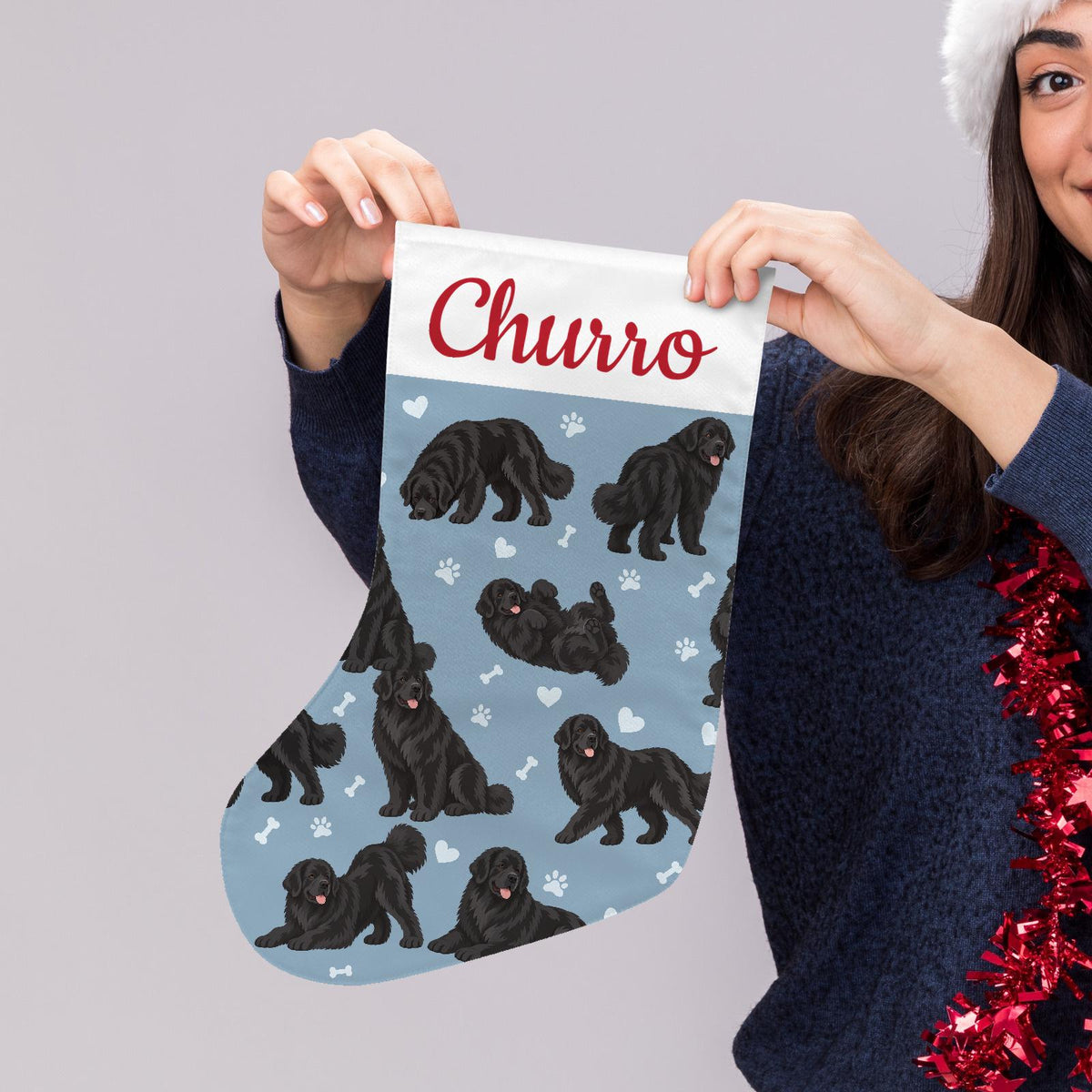 Newfoundland Christmas stocking on dusty blue background with example name Churro in red script on the white cuff; view 5.