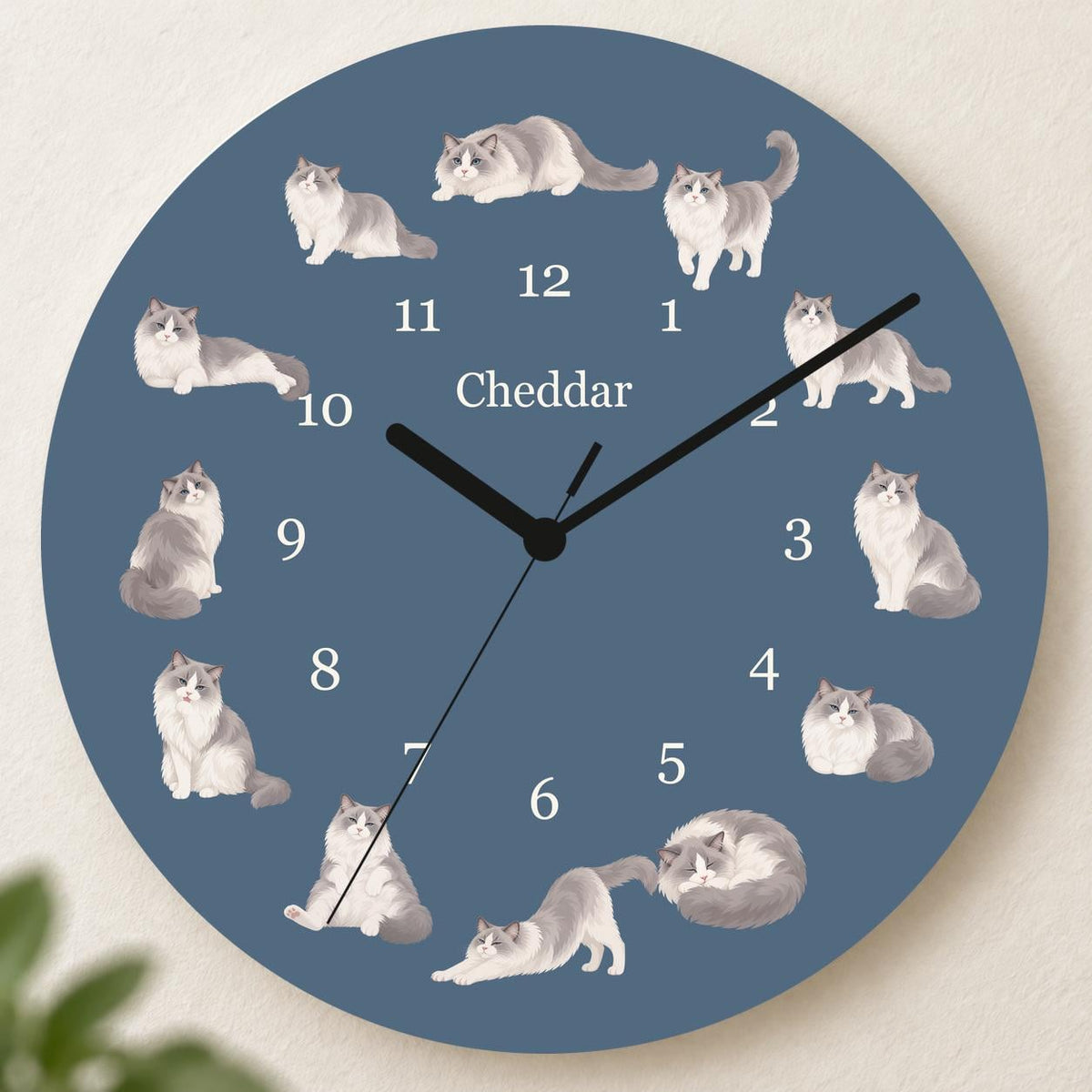 Personalized Ragdoll Cat wooden wall clock with example name Cheddar; hero