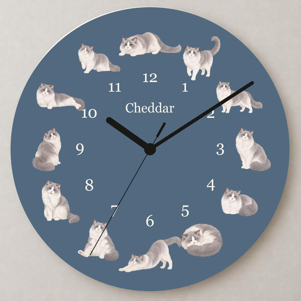 Personalized Ragdoll Cat wooden wall clock with example name Cheddar; close up