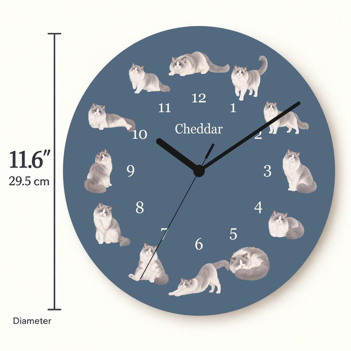 Personalized Ragdoll Cat wooden wall clock with example name Cheddar; size