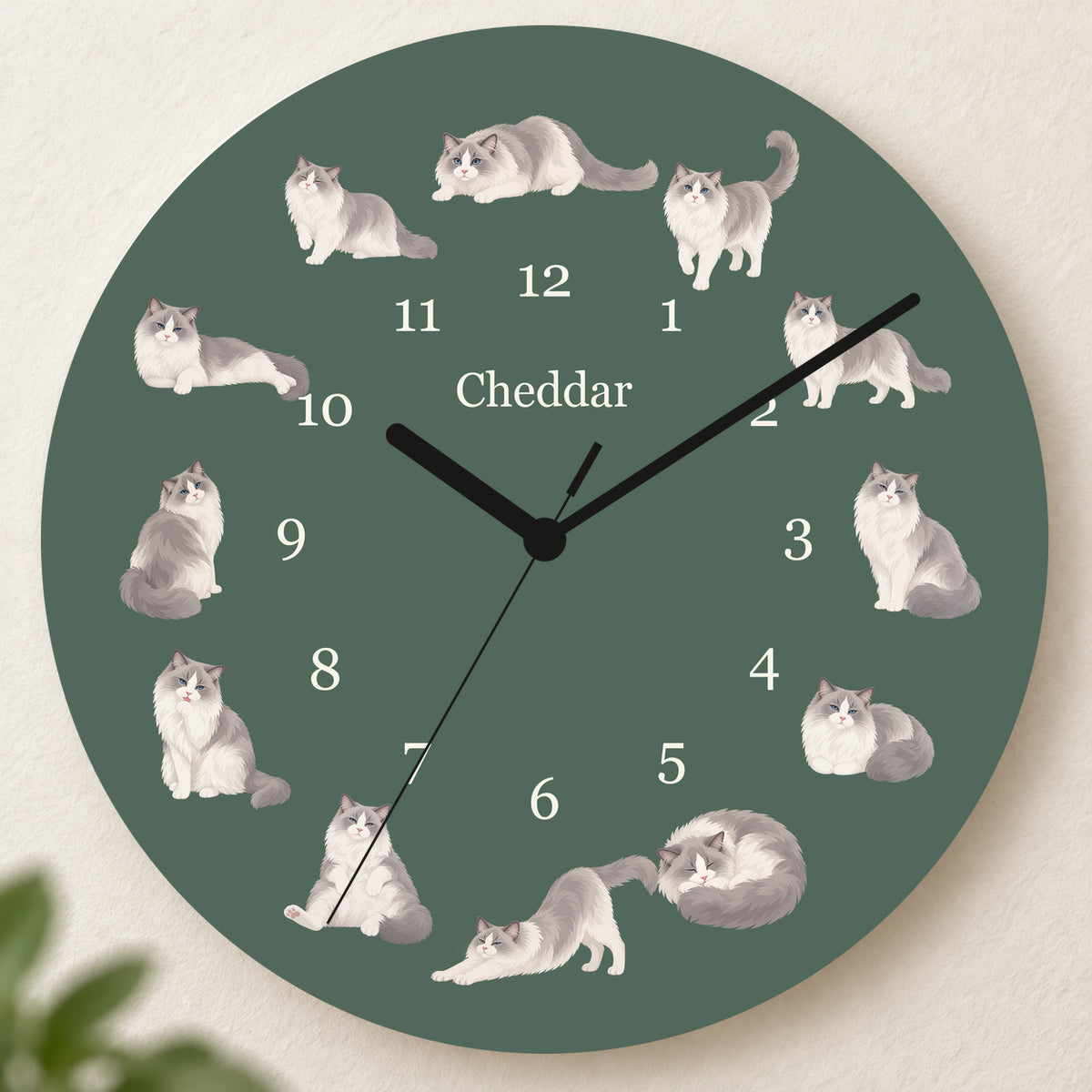 Personalized Ragdoll Cat Wall Clock, Custom Pet Name, 11.6 Inch Wooden Clock — Deep Sage background