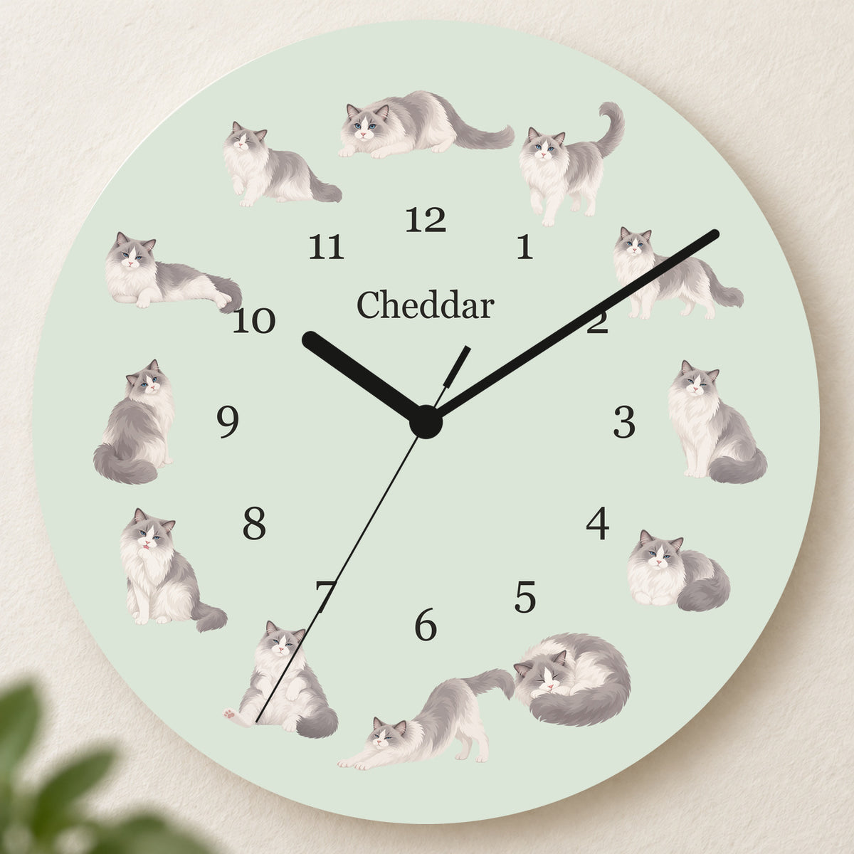Personalized Ragdoll Cat Wall Clock, Custom Pet Name, 11.6 Inch Wooden Clock — Pale Sage background