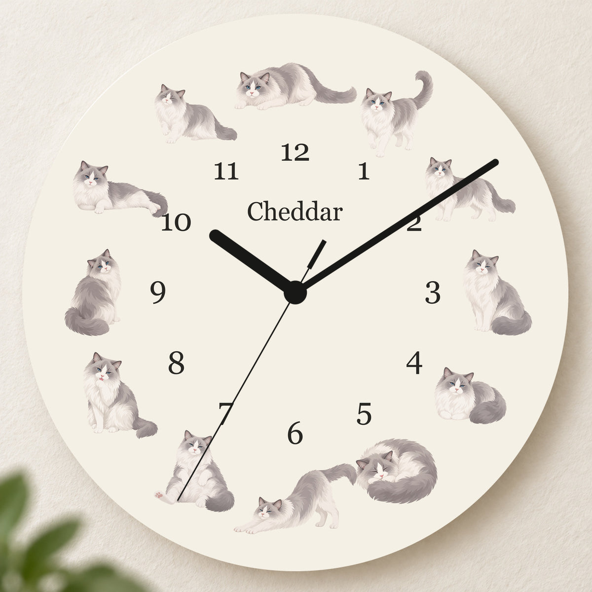 Personalized Ragdoll Cat Wall Clock, Custom Pet Name, 11.6 Inch Wooden Clock — Warm Ivory background