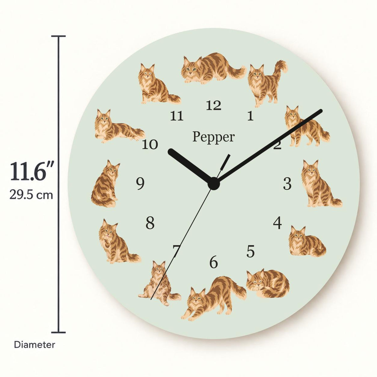 Personalized Maine Coon Cat wooden wall clock with example name Pepper; size